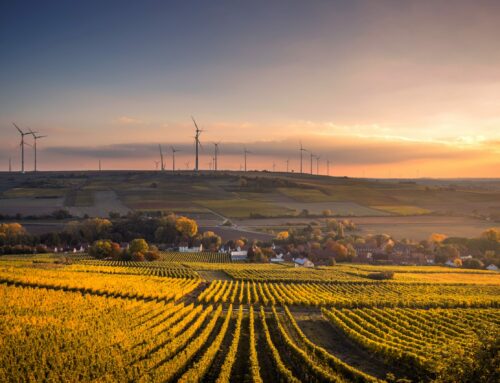 ESG učí firmy šetřit energiemi. Základem je efektivně zpracovávat obrovské množství dat