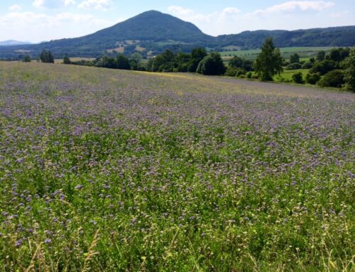 Farmáři si mohou vybírat, komu prodají uhlíkové kredity. Do Česka přicházejí další firmy