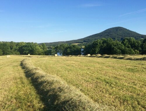 Snižování emisí v potravinářství. Společnost Klim nabírá české regenerativní farmáře na „insetování“