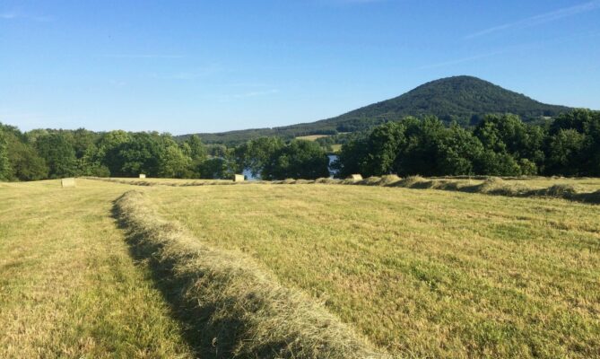 Regenerativní zemědělství v praxi. Foto: poskytnuto Statek Vodňanský