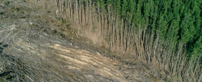 Ilustrační foto: Unsplash