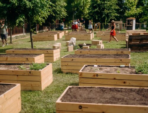 Komunitních zahrad už je v Praze přes šest desítek. Hlavní je správný výběr pozemku