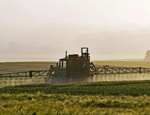 Pesticidy zvyšují riziko nebezpečných chorob u zemědělců, uvádějí výzkumy. V Česku farmáře ochrání oblek, brýle a osvědčení