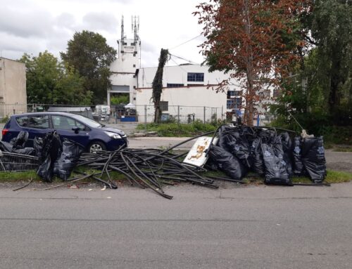 Aplikace mají pomoci se správným tříděním odpadů. Má je Eko-kom, Nestlé i Ukliďme Česko