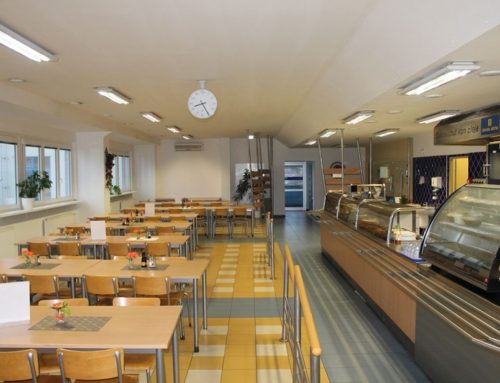 Závodní a školní jídelny budou povinně vařit z biopotravin. Začnou je zkoušet od příštího září