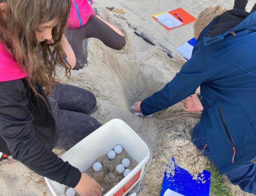 Ochránci přírody učí děti o mořských želvách a pytláctví. Lákají je i na fotopasti z Afriky