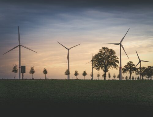 Při investicích do větrných parků banky zajímá měření meteorologů i dodavatelé technologií