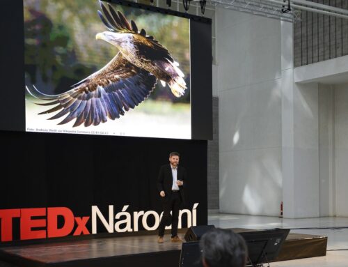 TEDxNárodní se vrací po roční pauze. Nahlédne do naší společné budoucnosti