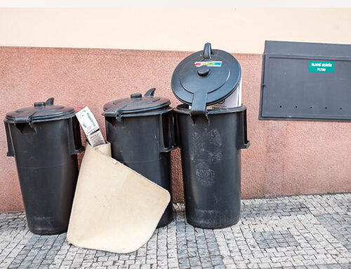 Obcím se nedaří rychle snížit objem směsných odpadů. Pomoci mohou hnědé popelnice