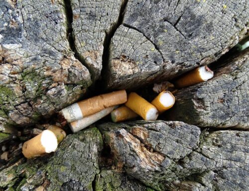 Málo košů a lenost. V Česku končí na ulicích a v přírodě hlavně plasty, sklo a nedopalky