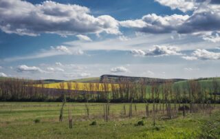 Krajina v okolí Blatničky, o kterou se stará Martin Smetana. Foto: Kateřina Hefler, Ekonews