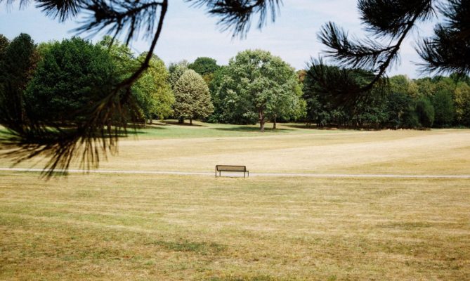 Sucho se projevuje všude - v parcích, na polích i na stavu vody v řekách. Foto: Chris Weiher, Unsplash