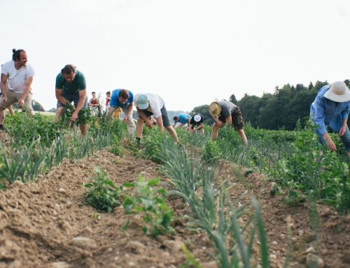 Ekologičtí zemědělci mají od září vyšší Farmářskou školu. Většinu studia stráví praxí