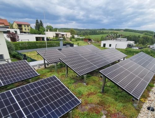 Solárům a rostlinám se pospolu na střeše daří. Panely se tolik nepřehřívají a vegetace je pestřejší
