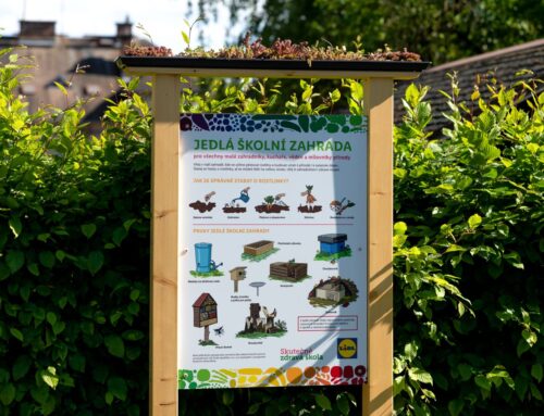 Nechceme děti lákat k nákupu barevnými obrázky na nezdravých potravinách, říká CSR manažerka Lidlu
