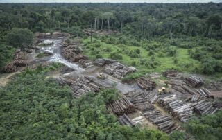 Nelegálně odlesněná oblast na území domorodých obyvatel Pirititi ve státě Roraima v brazilské Amazonii. Foto: Felipe Werneck, ČTK, AP