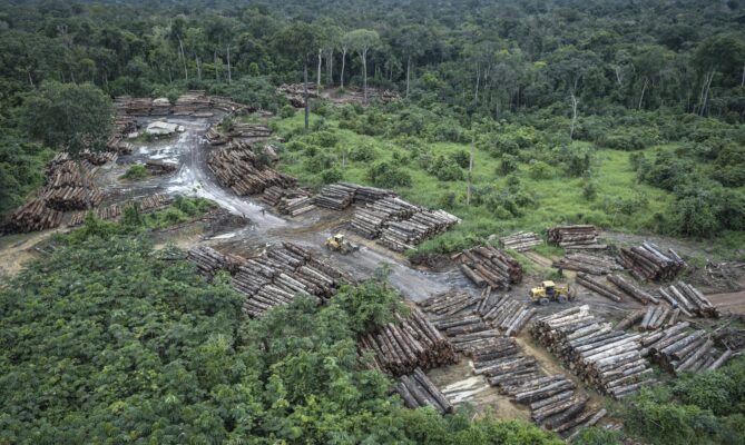 Nelegálně odlesněná oblast na území domorodých obyvatel Pirititi ve státě Roraima v brazilské Amazonii. Foto: Felipe Werneck, ČTK, AP