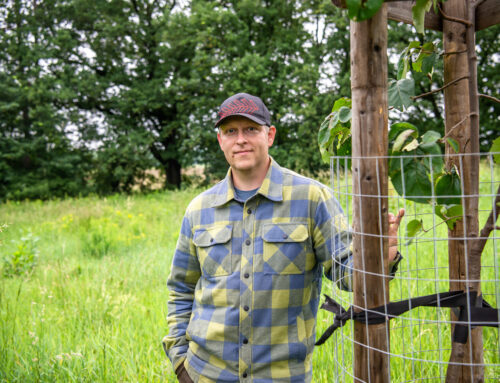 Kde v Česku roste „bio“. Hornaté pohraničí vede díky pastvinám, úrodné regiony na rozvoj čekají