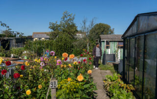 V zahrádkářské kolonii u rotterdamského letiště letos zjistili, že je tamní půda plná věčných chemikálií. Záhonky Shirley Ganeshieové patří k nejvíce zamořeným. Foto: Marcella Homsma