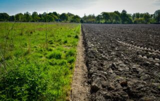 Ilustrační foto, zoraná půda a zdravá půda. Regenerativní zemědělství. Foto: Unsplash