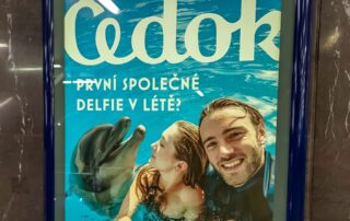 Kampaň Čedoku s delfíny. Foto: Ekonews