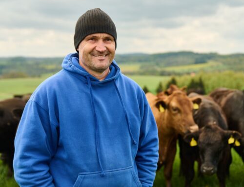Opustil bio, přešel na regenerativní pastvu a výnosy se zdvojnásobily. Každých 48 hodin krávy přesune jinam