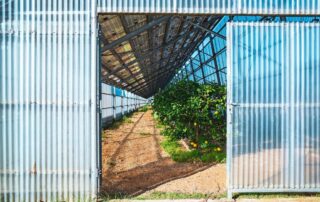 Agrovoltaický skleník nedaleko města Oristano na Sardinii. Foto: Paolo Valenti, lavialibera
