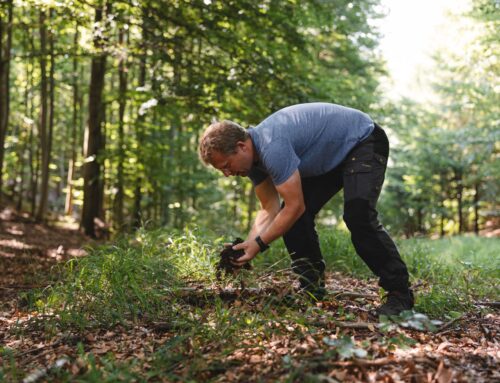 Nestačí pouze neškodit. Evropa přepíná z ochrany přírody na obnovu biodiverzity a ESG je toho součástí