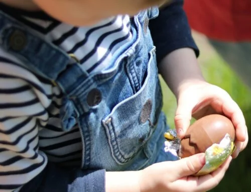Čokoládové Velikonoce bez dětské práce a pesticidů. Bodovali Nizozemci, výrobce Milky se nevyznamenal