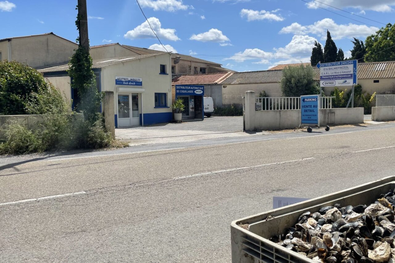 Francie v průměru ročně vyprodukuje kolem 150 tisíc tun ústřic. Foto: Tomáš Pohanka, Ekonews