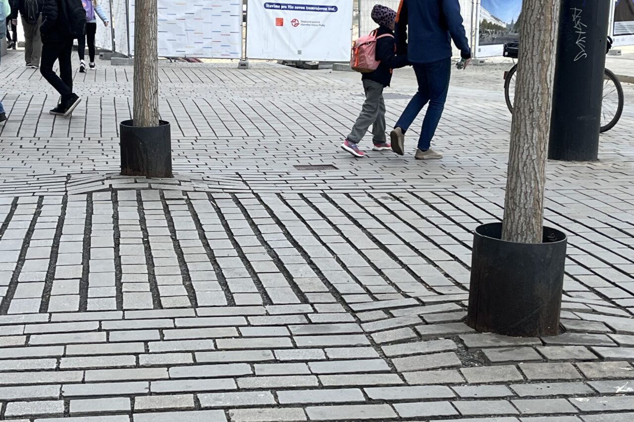 Větší mezery v dlažbě podporují vsakování vody a kovové štíty u kmenů chrání stromy před psí močí. Foto: Valentina Podlesná, Ekonews