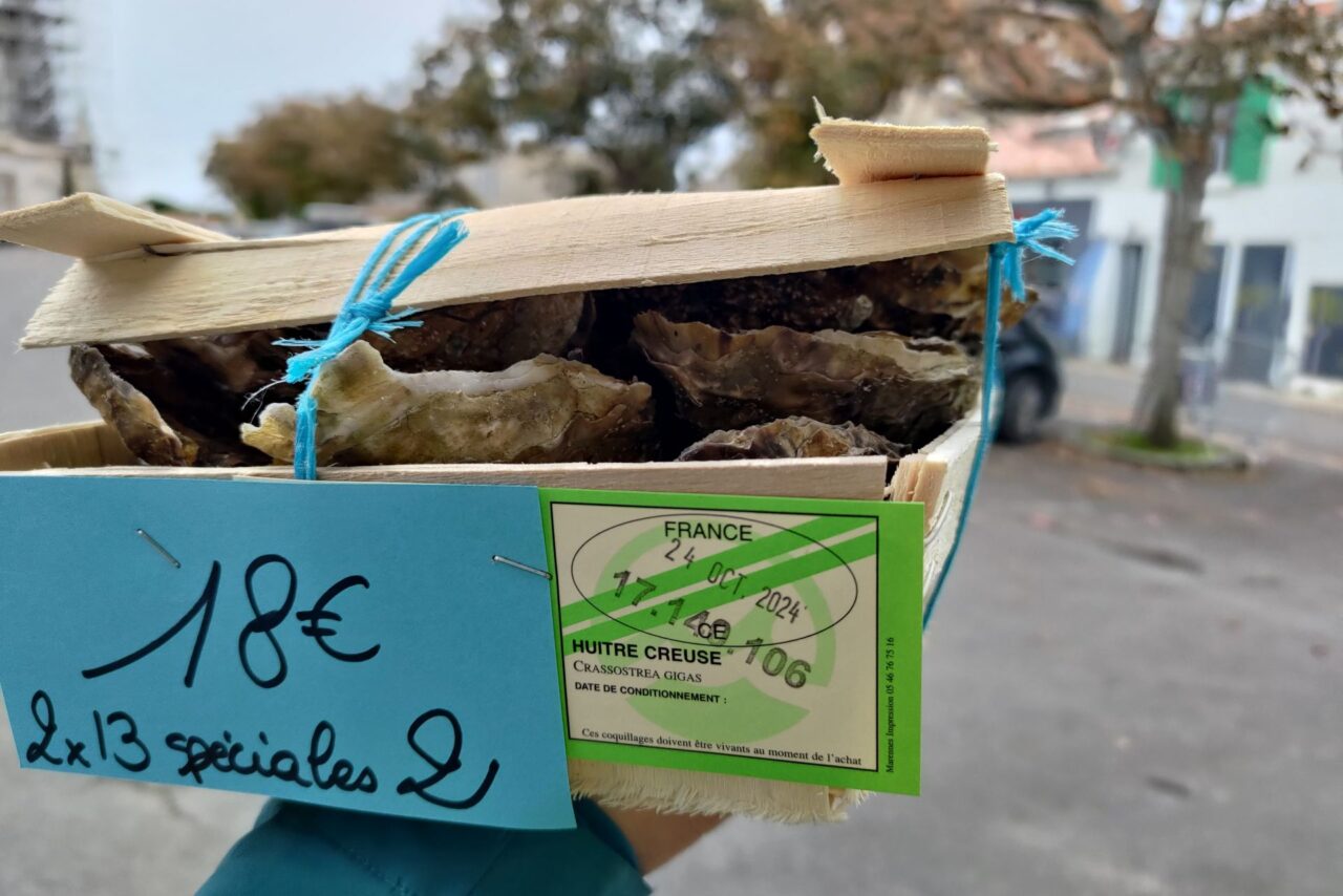 Nejrozšířenějším druhem je ve Francii ústřice velká, která se tam chová ale teprve od šedesátých let minulého století. Foto: Martina Patočková, Ekonews