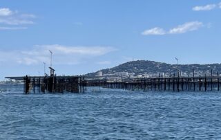 Z rámů na dvanáctimetrových dřevěných kůlech visí lana o délce 2,5 metru až deset metrů. Ústřice k nim chovatelé přilepují s pomocí cementu. Foto: Tomáš Pohanka, Ekonews