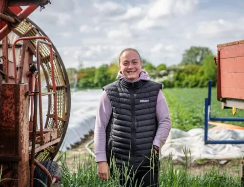 Šalvěj pomůže proti škůdcům na salátech, kefír proti plísním na okurkách, radí mladá farmářka