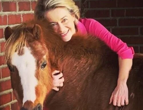 Šéfka Evropské komise pomstila poníka Dolly. Vlci přišli o přísnou ochranu