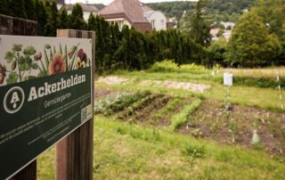 Urban gardening na vídeňském hřbitově Neustift. Foto: Harald Lachner