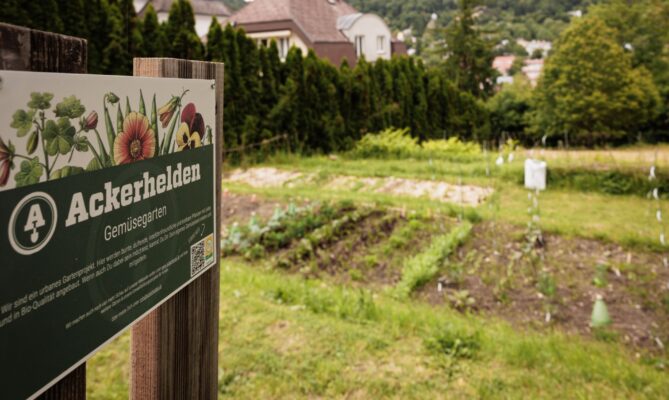 Urban gardening na vídeňském hřbitově Neustift. Foto: Harald Lachner