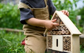 Hmyzí hotel je třeba umístit na slunné a suché místo v závětří. Foto: Getty Images