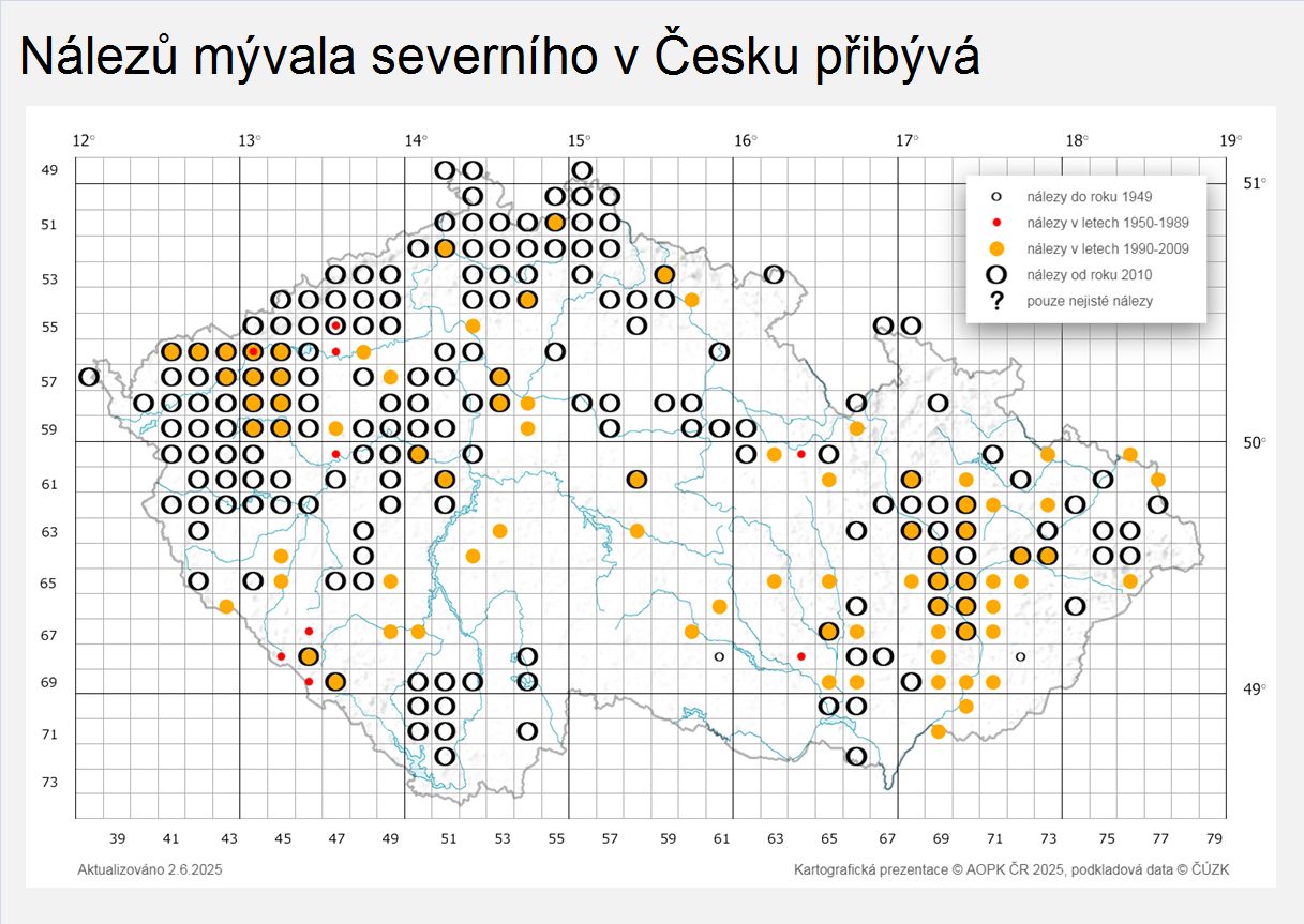 Nálezů mývala severního v Česku přibývá; zdroj: Informační systém ochrany přírody