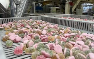 Závod Sfinx ve Všetulech na Kroměřížsku je jedinou továrnou Nestlé v Evropě specializovanou na bonbóny. Foto: poskytnuto společností Nestlé Česko a Slovensko