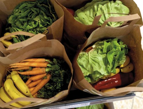 Lidl loni prodal 1,8 milionu tašek se zlevněnými potravinami, v Penny si ji každý měsíc koupí 44 tisíc lidí