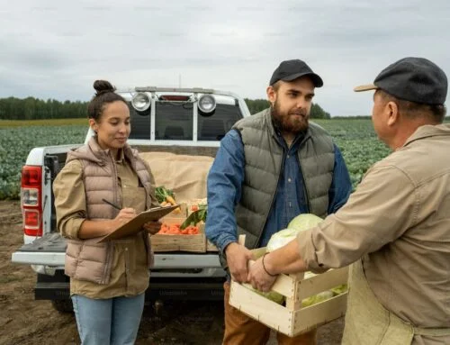 Farmářským bedýnkám pomohl covid. Zhruba stovka komunit má dnes „vlastního“ zemědělce