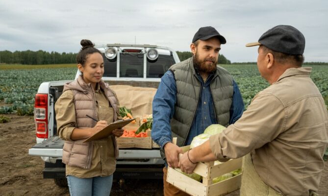 Komunitou podporovanému zemědělství, aneb farmářským bedýnkám pomohl hlavně covid. Foto: Unsplash