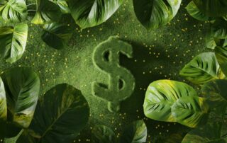 Zelené investice získávají na popularitě. Ilustrační foto: Hartono Creative Studio, Unsplash