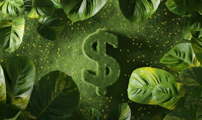 Zelené investice získávají na popularitě. Ilustrační foto: Hartono Creative Studio, Unsplash