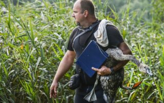 Vedoucí DES OP Záchranné stanice živočichů v Plzni Karel Makoň. Foto: ČTK / Chaloupka Miroslav