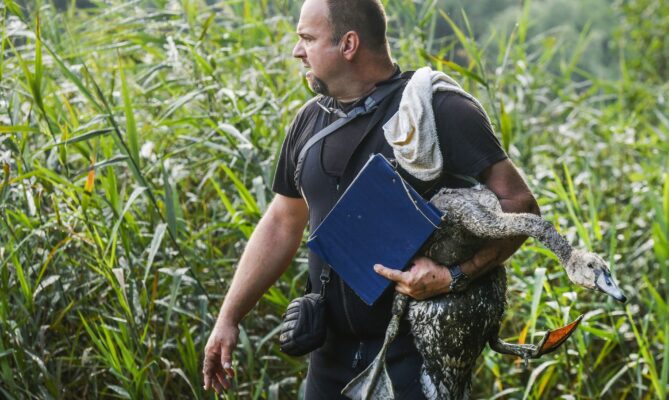 Vedoucí DES OP Záchranné stanice živočichů v Plzni Karel Makoň. Foto: ČTK / Chaloupka Miroslav