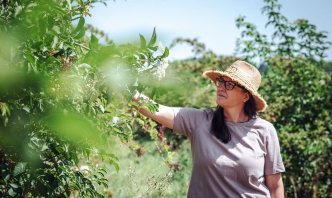 „Není to naše vina, přesto neseme následky,“ říká Renata Vondráková, majitelka Farmy Křížov. Foto: Kateřina Hefler, Ekonews