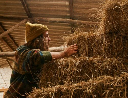 Biouhel prospívá farmářům i klimatu. Spalování slámy má potenciál zmírnit dopady klimatické změny