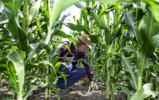 Nepotřebujete orat, nemusíte nic dělat, a přesto můžete dosáhnout úžasného výsledku, říká Mykhailo Voitovyk. Foto: N. Timčenko, Rubryka